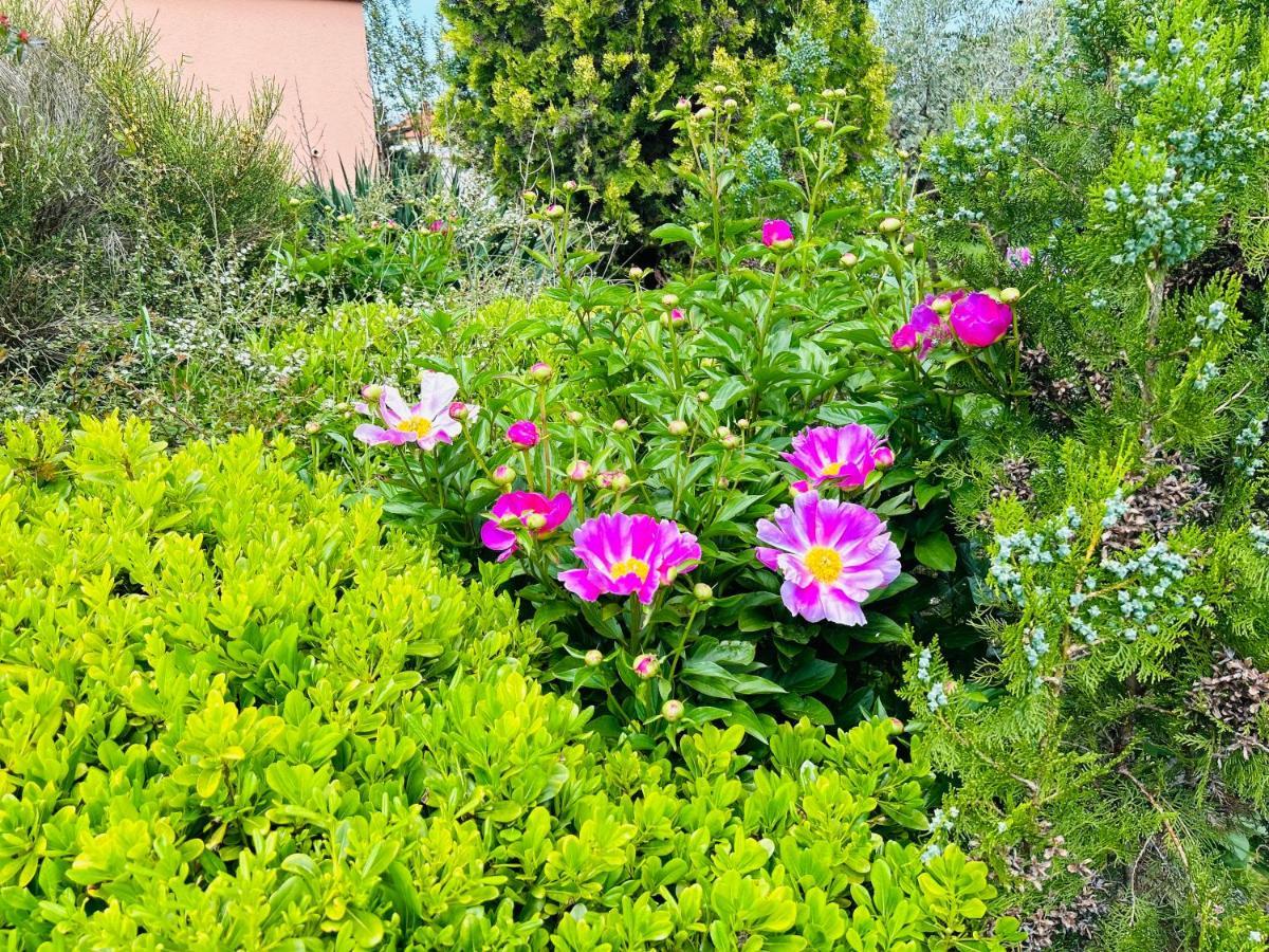 乌马格Casa Cino公寓 外观 照片